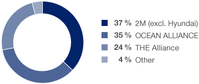 Capacity Breakdown by Shipping Line Alliances Following Reorganisation (pie chart)
